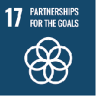 SDG 17: