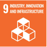 SDG 9: